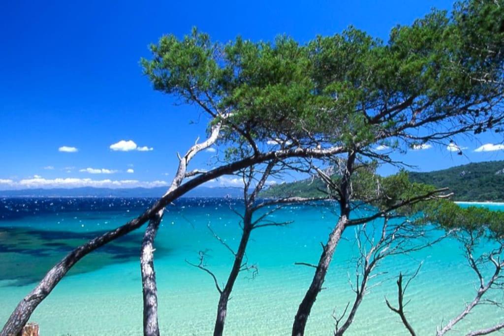 Superbe Maison T3 Vue Mer & Jardin Hyères